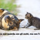 L’amore guarda con l’anima